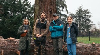 Dans un parc, quatre personnes posent devant un tronc de grande dimension.