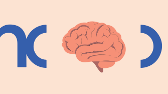 illustration cerveau