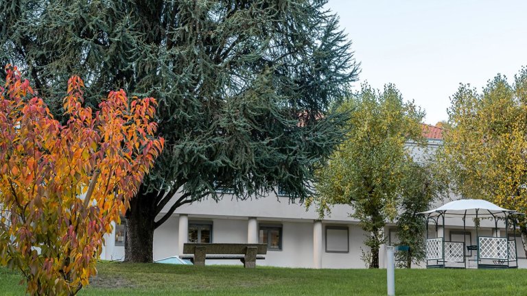 vue sur les arbres et le kiosque du jardin de l'hôpital de Beaujeu