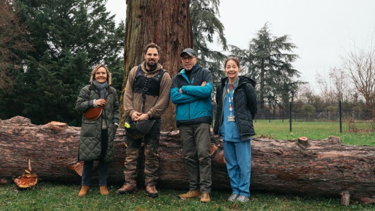 quatre personnes, deux hommes et deux femmes posent devant un tronc d'arbre de grande dimension