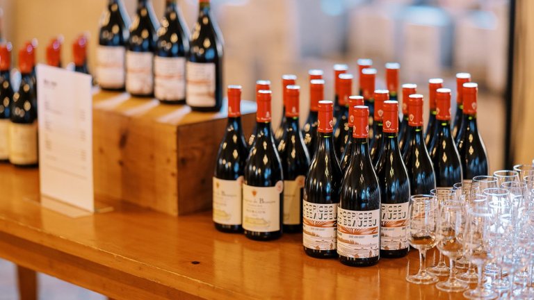 des bouteilles de vn rouges sont alignées sur une table en bois